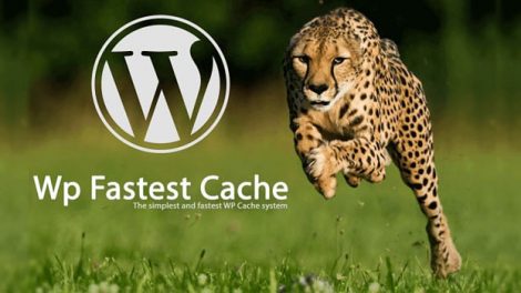 دانلود افزونه سریعترین کش وردپرس - WP Fastest Cache
