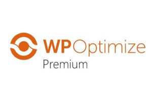 افزونه بهینه ساز و افزایش سرعت وردپرس - WP Optimize Premium