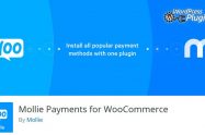 دانلود افزونه درگاه های پرداخت اینترنتی ووکامرس - Mollie Payments