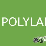دانلود افزونه چند زبانه کردن سایت وردپرس - Polylang