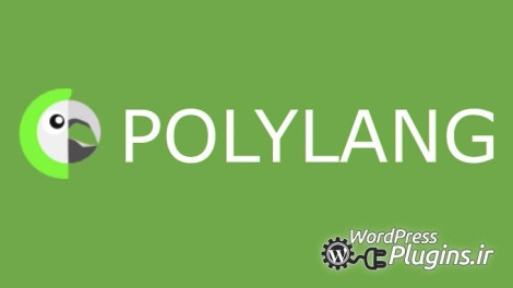دانلود افزونه چند زبانه کردن سایت وردپرس - Polylang